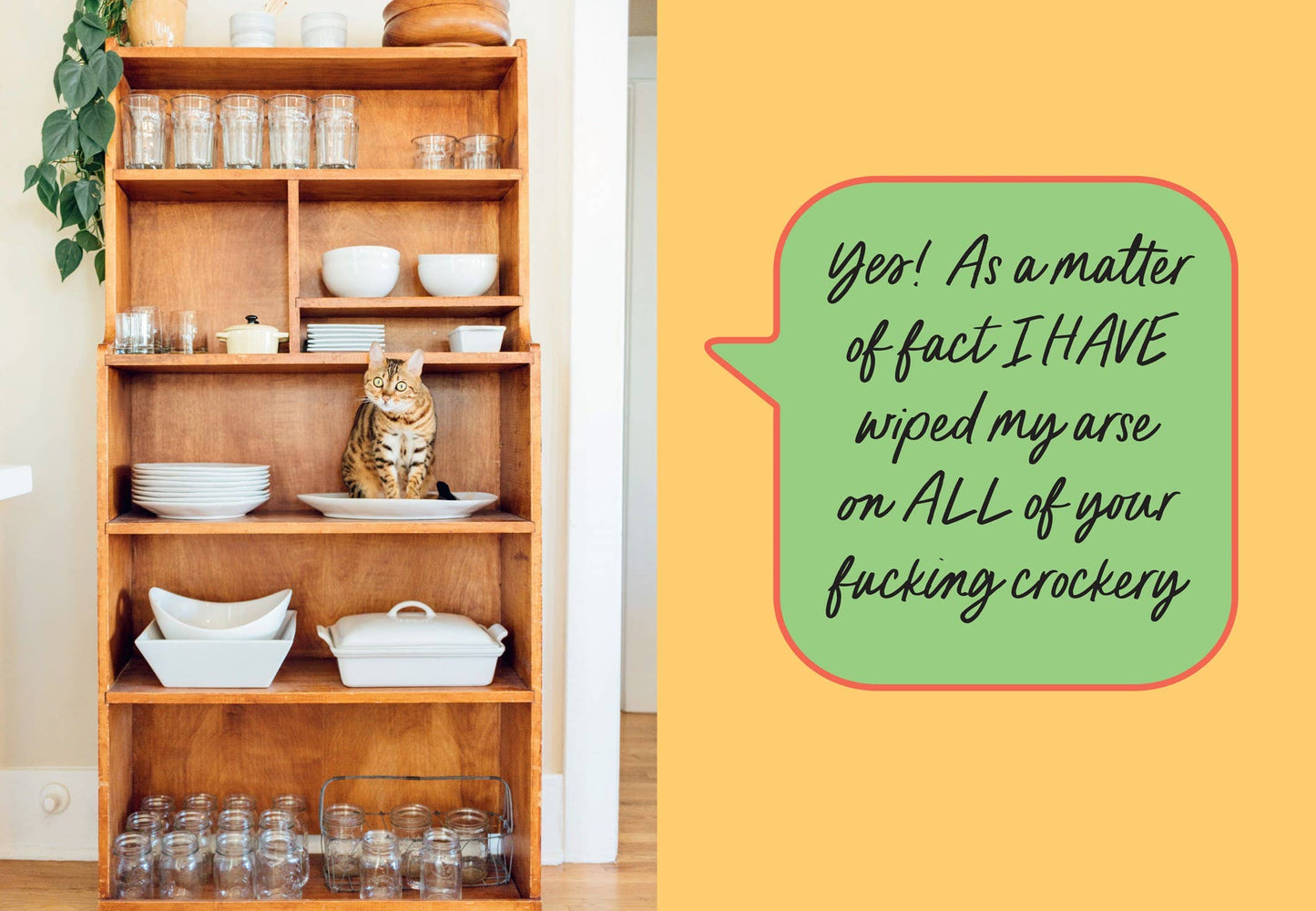 Sweary Cats