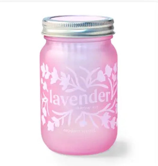 Lavender Grow Kit - Modern Sprout
