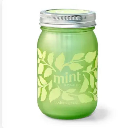 Mint Grow Kit-Modern Sprout