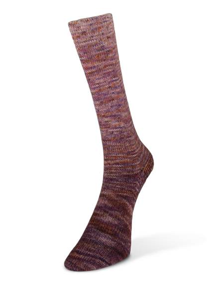 Laines du Nord yarn - Paint Gradient Sock