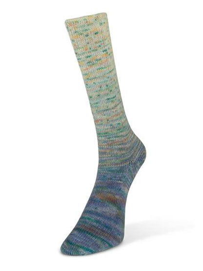 Laines du Nord yarn - Paint Gradient Sock