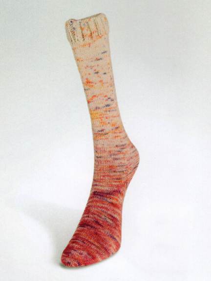 Laines du Nord yarn - Paint Gradient Sock