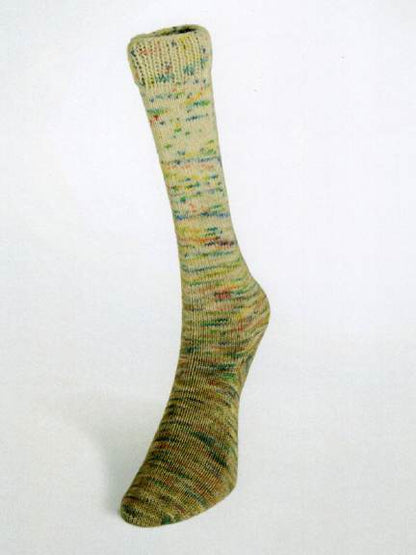 Laines du Nord yarn - Paint Gradient Sock