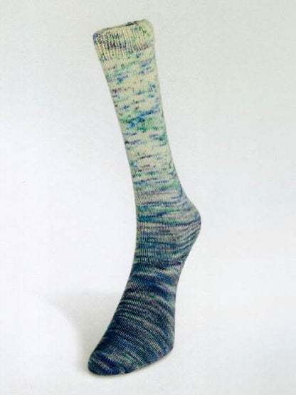 Laines du Nord yarn - Paint Gradient Sock