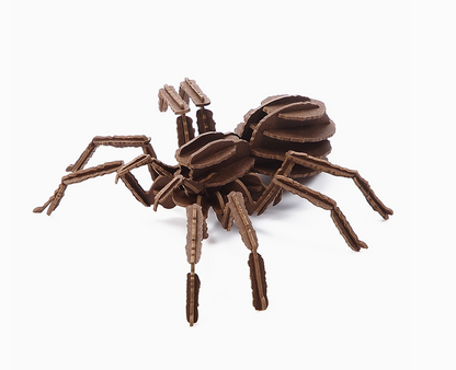 3D Paper Puzzle