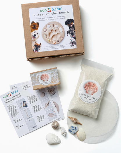 Copy of Eco-kids A Day at the Beach - Paw Print