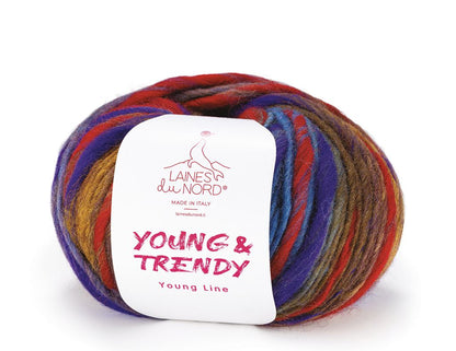 Young and Trendy Yarn -  Laines Du Nord