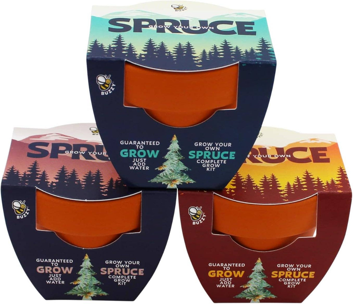 Mini Holiday Spruce Trees | Grow Kit Set | Party Favors
