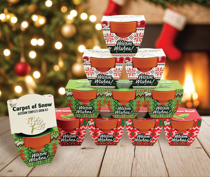 Holiday Mini Terracotta Sweater Assorted Grow Pots (12 Pack)
