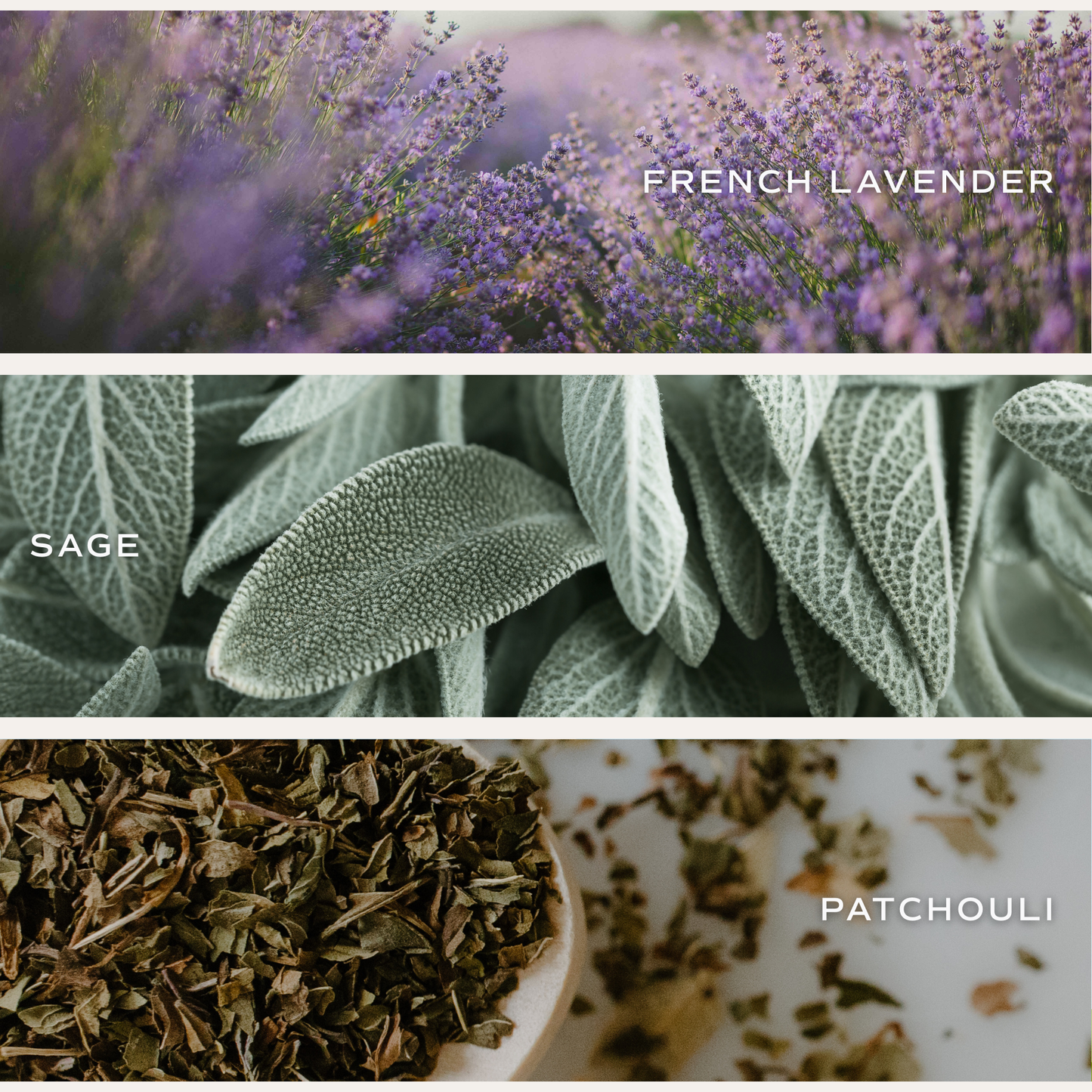 Sweet Water Decor - Lavender and Sage 11 oz Soy Candle