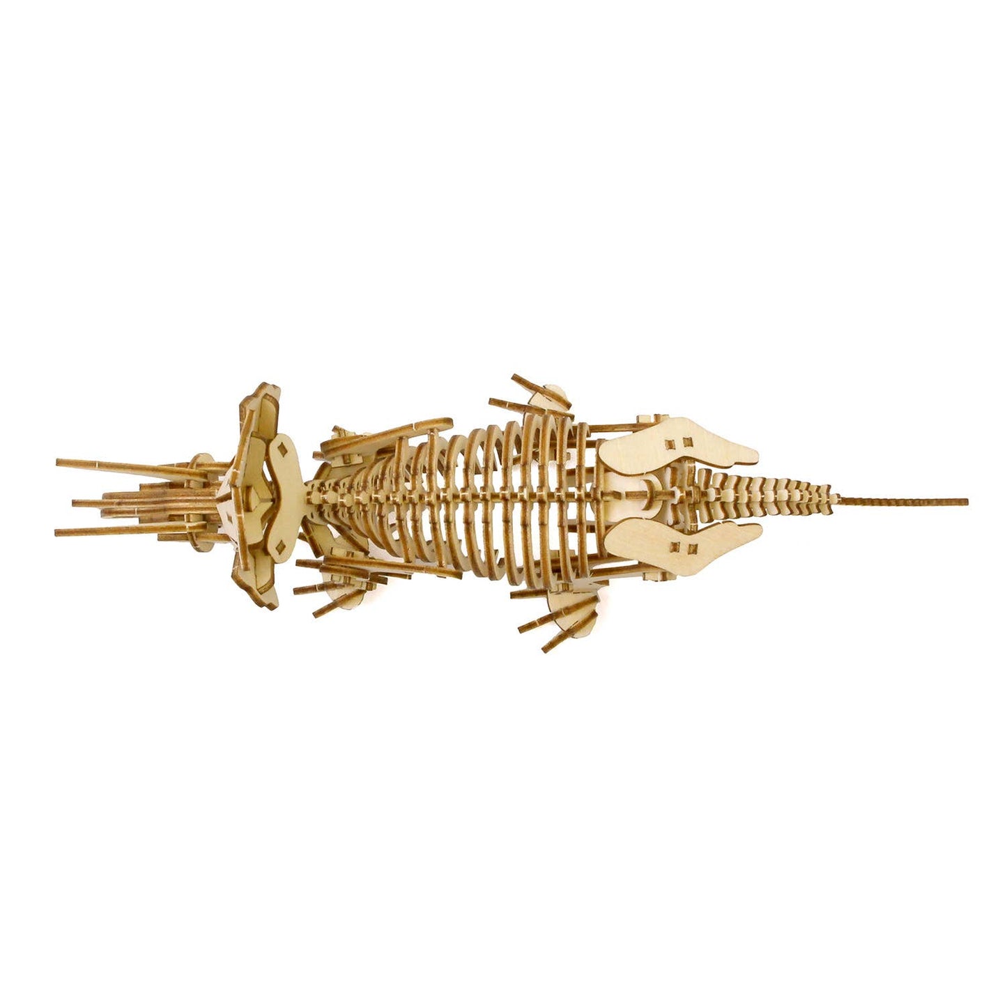Wa-gu-mi Triceratops Wooden 3D Puzzle Kit