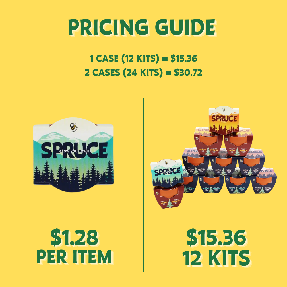 Mini Holiday Spruce Trees | Grow Kit Set | Party Favors