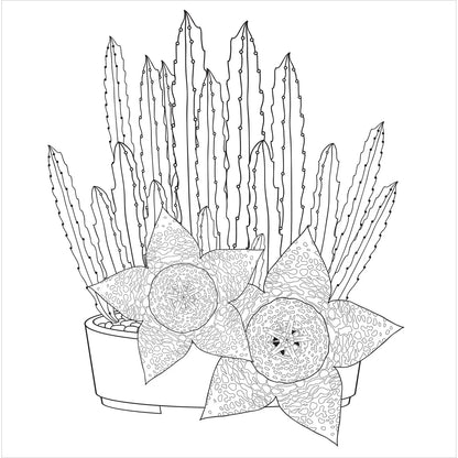 Succulents Artists Coloring Book