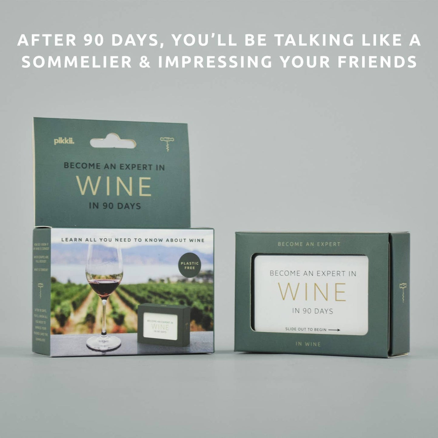 Become An Expert In Wine In 90 Days Slide Box | Wine Gift