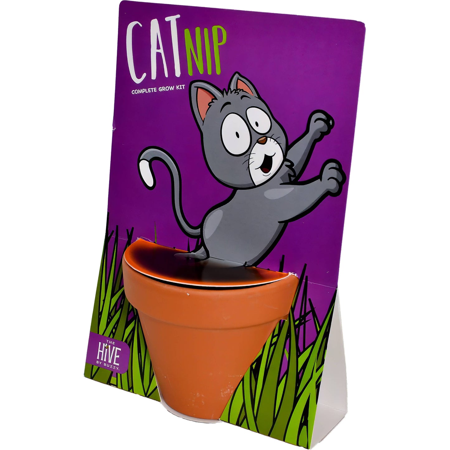 Whimsical Cat Nip Grow Kit | Catnip Seeds | Terracotta Pot