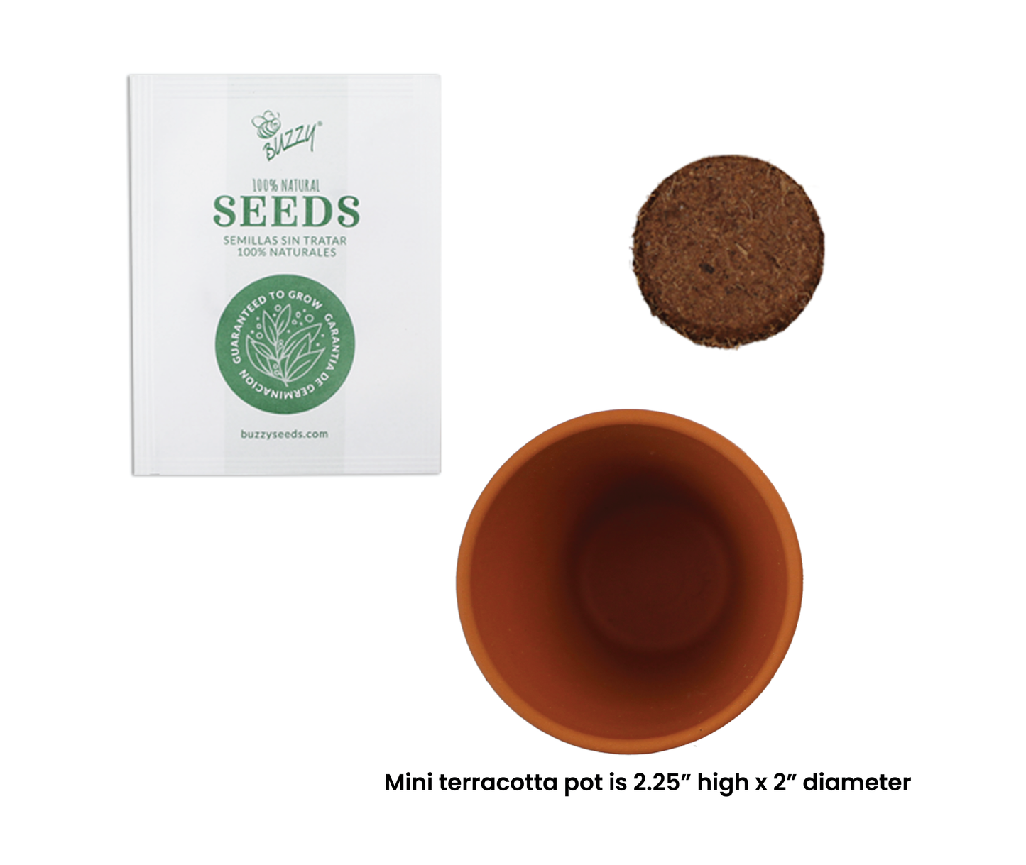Holiday Mini Terracotta Sweater Assorted Grow Pots (12 Pack)