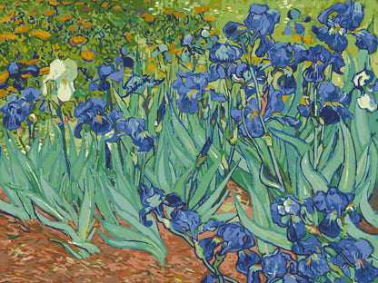Irises, by Vincent van Gogh