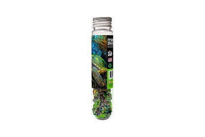 Sea Turtle - Marine Life for Outdoor Adventure