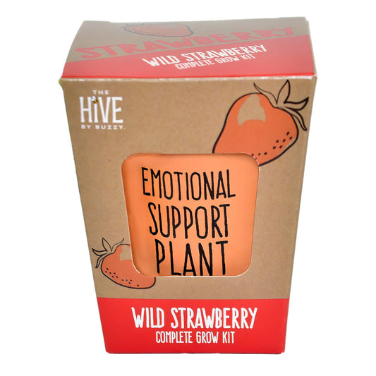 Inspirational Wild Strawberry Grow Kit