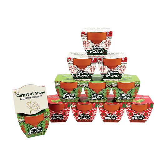 Holiday Mini Terracotta Sweater Assorted Grow Pots (12 Pack)