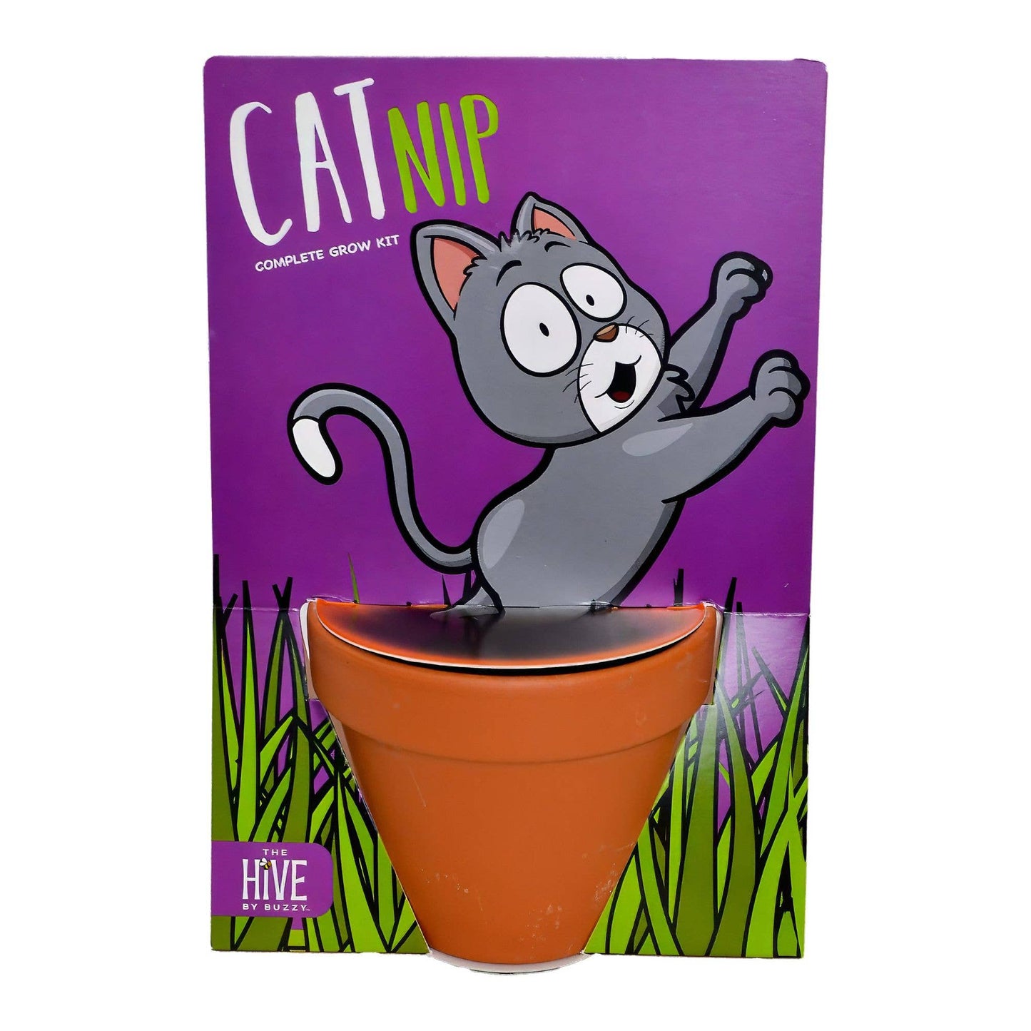Whimsical Cat Nip Grow Kit | Catnip Seeds | Terracotta Pot
