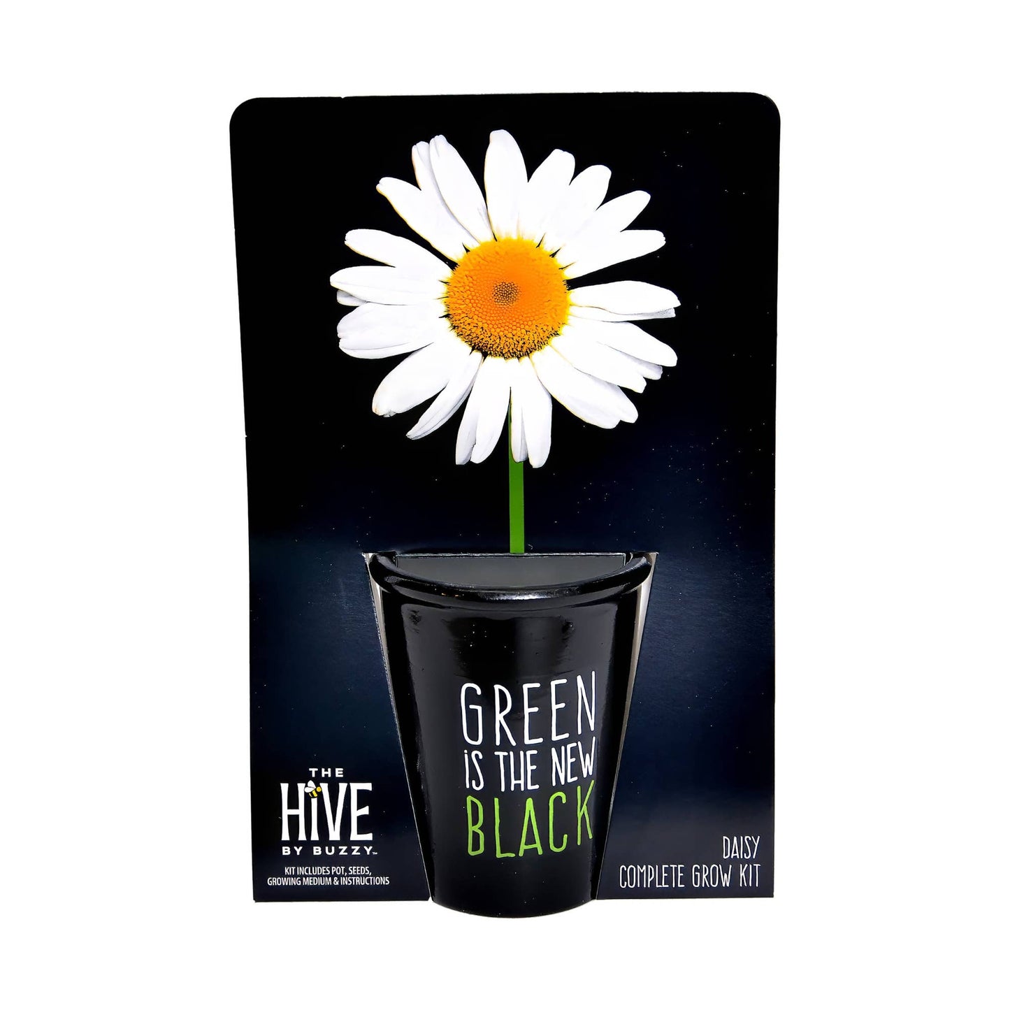Green is the New Black Daisy Grow Kit