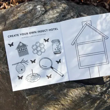 Bugs for Kids: How to Draw