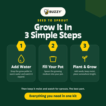 Mini Holiday Spruce Trees | Grow Kit Set | Party Favors