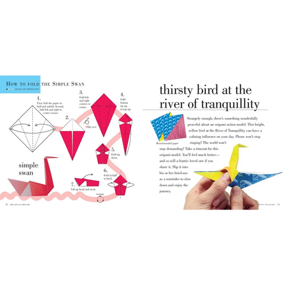 The Joy of Origami