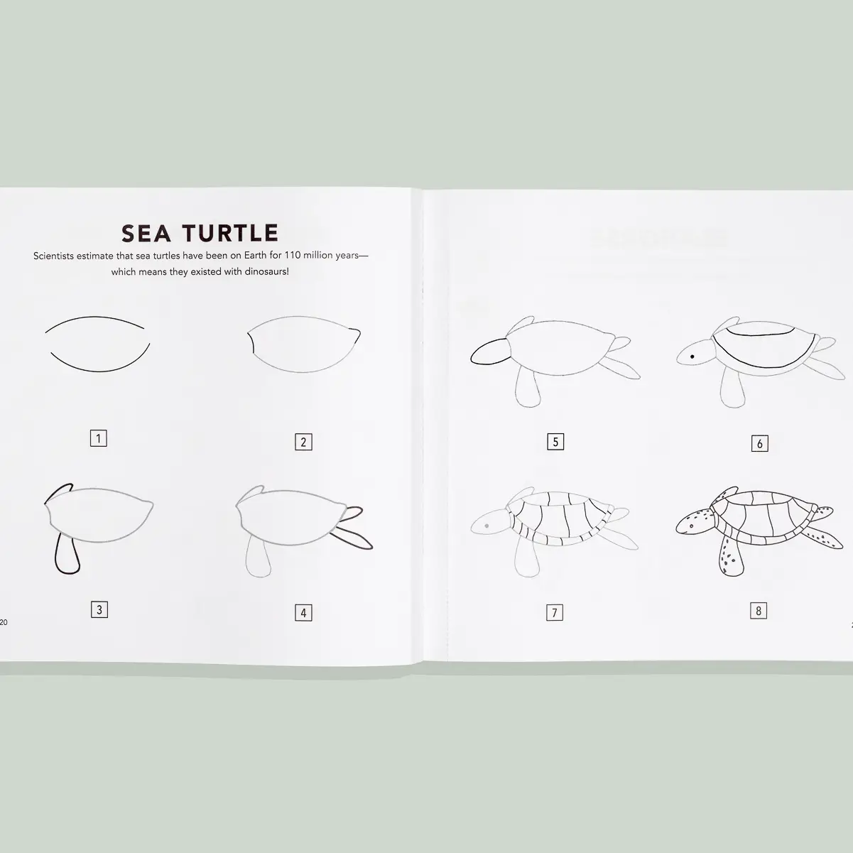 How to Draw Under the Sea