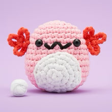 Strawberry The Axolotl - The Woobles Crochet Kit