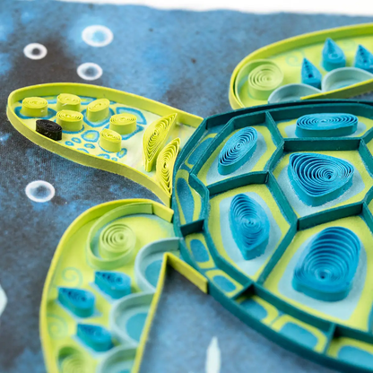 Quilled Decorative Sea Turtle Greeting Card