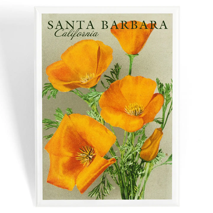 Santa Barbara Magnet