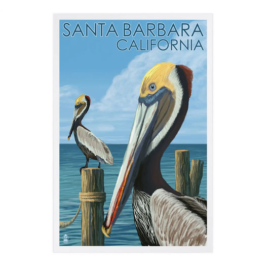 Santa Barbara Postcards - Pelicans