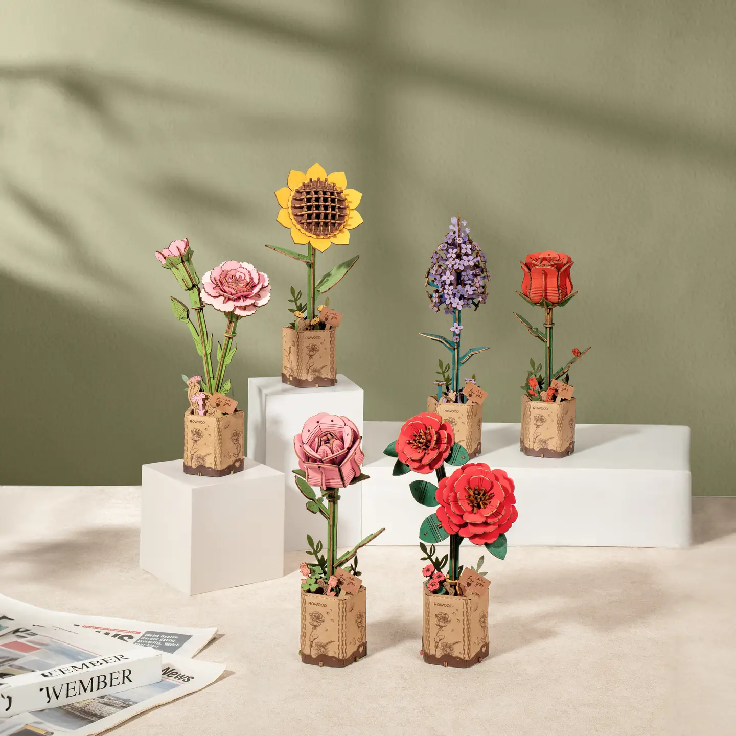 3D Wooden Puzzles